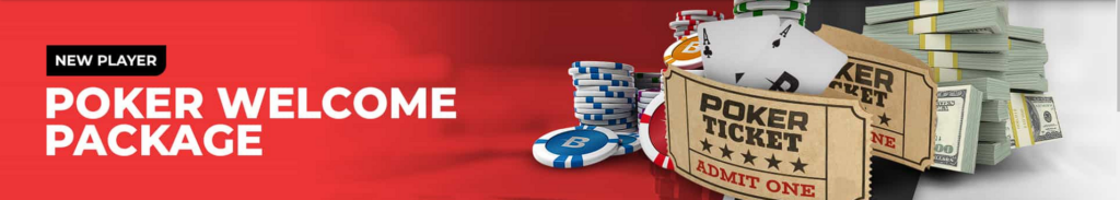 BetOnline Poker review